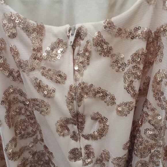 Champagne Pink Sequined Formal Dress NWT - Picture 3 of 6